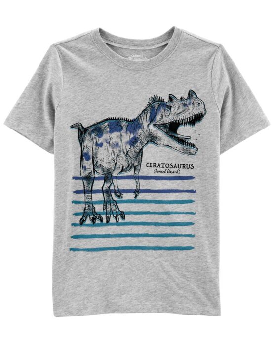 Carter's Grey Ceratosaurus Tee